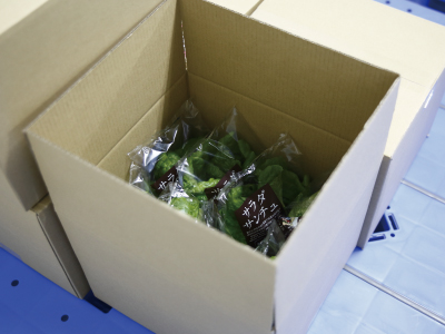 静岡県富士市から関東圏各市場への青果物チルド輸送便を毎日運行　地元野菜の関東圏への出荷を支援