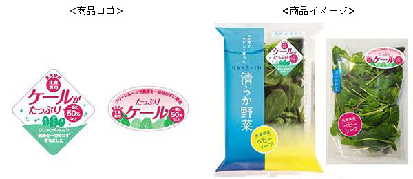新商品販売開始のお知らせ ファームシップＸ阪神野菜栽培所 ｢ケールがたっぷりベビーリーフ」