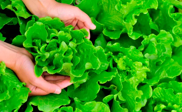 品質・鮮度管理