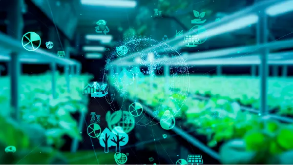 栽培条件の最適化