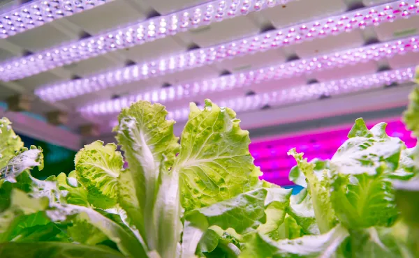 事業化の実装支援