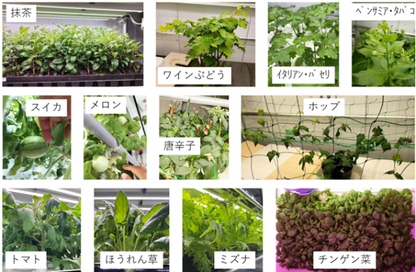 サービス紹介写真