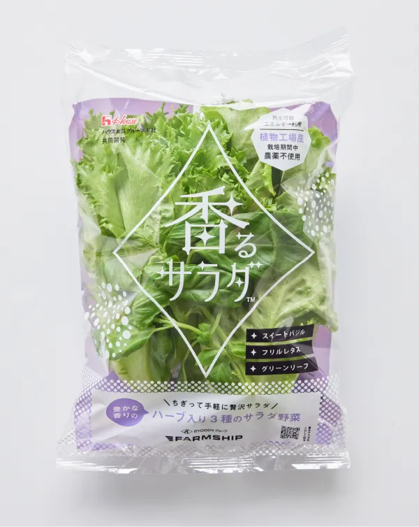 フリル＆グリーン（大）