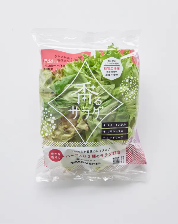 フリル＆レッド