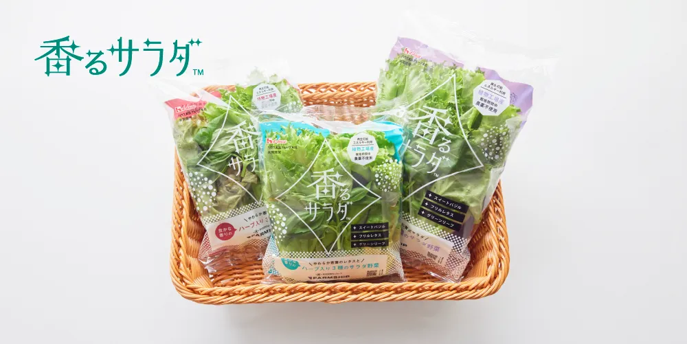 香るサラダシリーズ