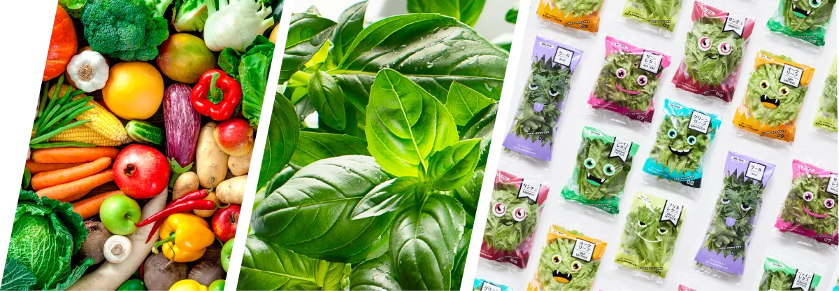 青果流通のイメージ