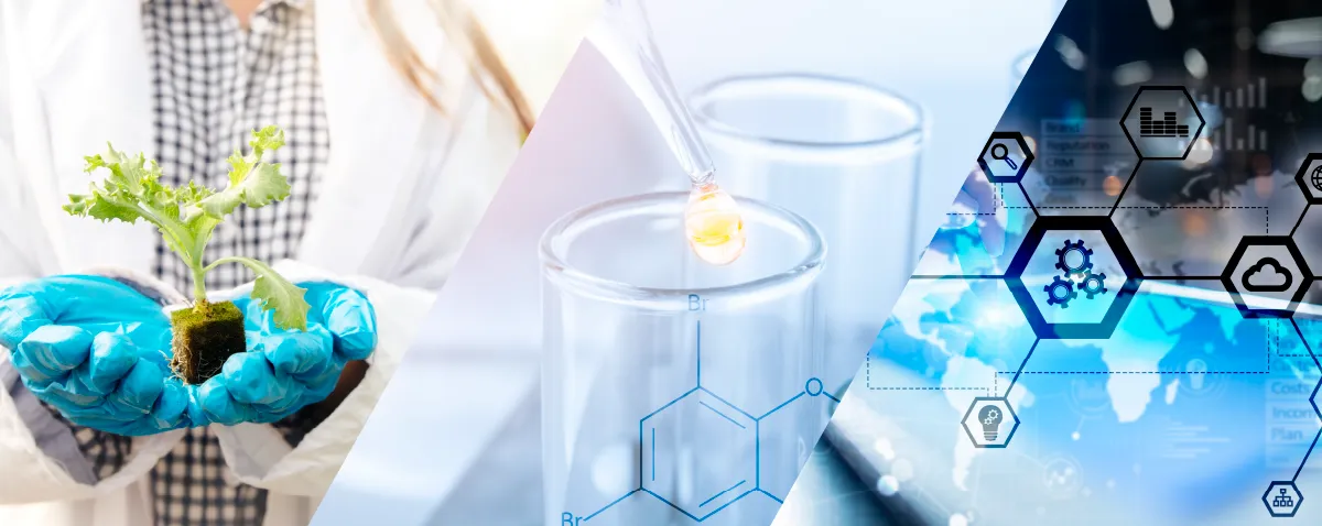 受託開発イメージ