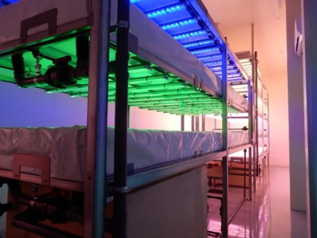 ファームシップが支援、晃商 三重県に1万5千株規模の大規模植物工場の建設を計画