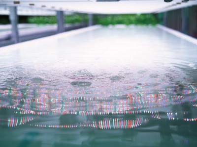 平成26年度補正「ものづくり・商業・サービス革新補助金」にファームシップが採択されました