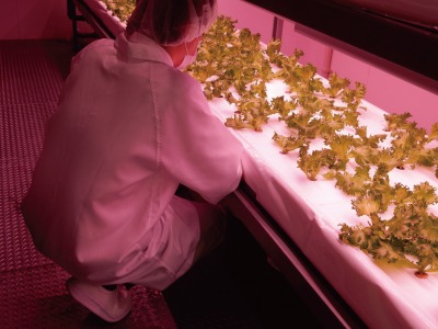 ファームシップ、植物工場用資機材開発のための実証実験受託サービスを提供開始