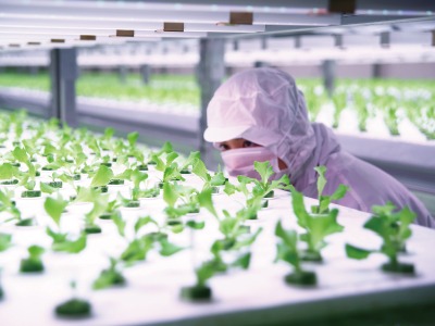 農業× ICT×流通ベンチャー ファームシップ／総額約1億円の資金調達を実施