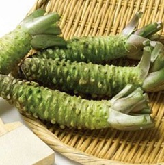 ｢わさび栽培システム開発｣が静岡県の｢アグリ・オープンイノベーション（AOI）プロジェクト｣に採択されました。