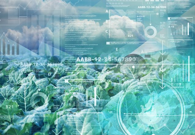 「植物工場等バリューチェーン効率化システム研究開発」がNEDOの研究開発プロジェクトに採択されました。