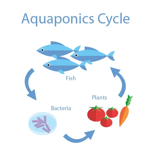 アクアポニックスを活用した植物工場事業を展開するプラントフォームへの出資に関するお知らせ