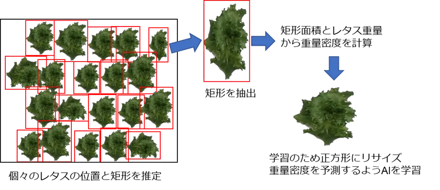 図2　今回開発したAI技術の模式図